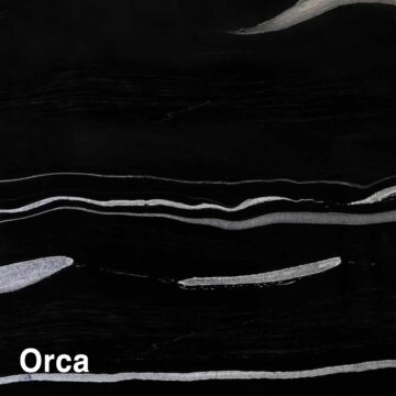 Orca1