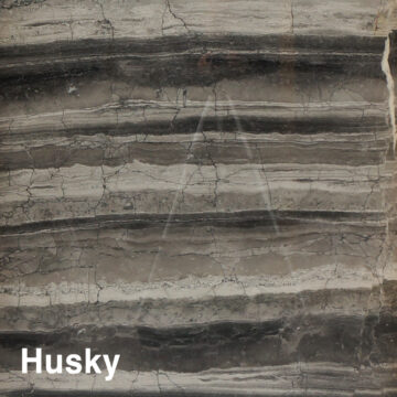 husky1